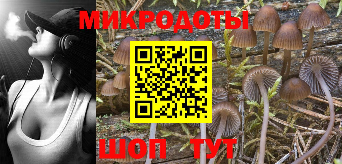 Россошь  Псилоцибиновые грибы Psilocybe  дарнет шоп  Вход с VPN  Псилоцибиновые грибы Cubensis 